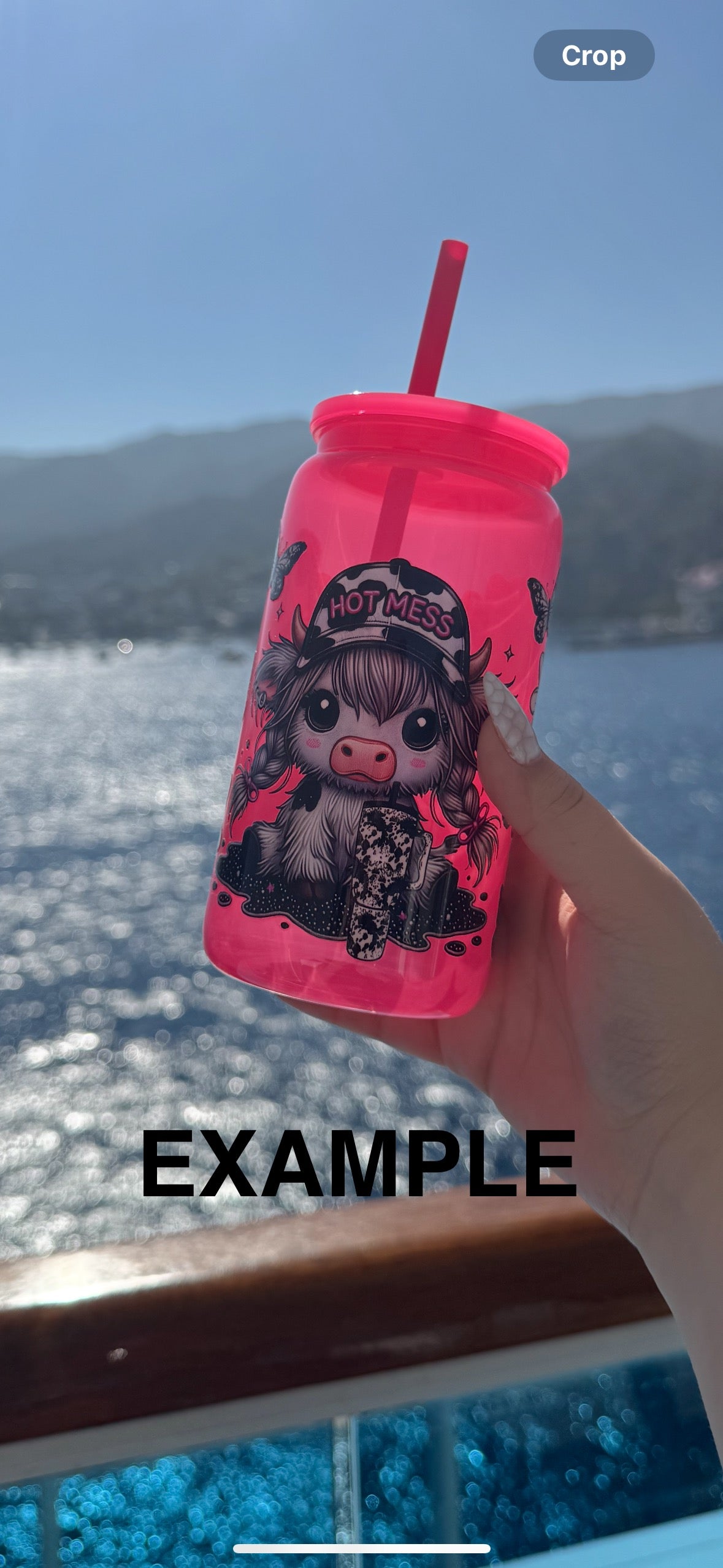 16oz Colorful Plastic Cups with Lids & Straws – Jelly Mason Jar Style